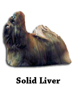 Solid Liver