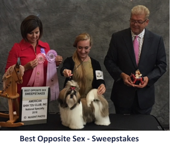 best in opposite sex sweepstakes