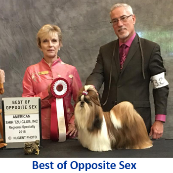 best of opposite sex